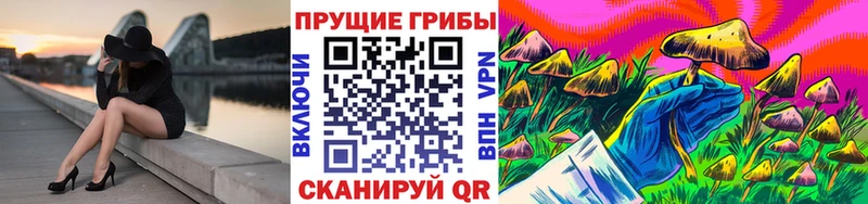 Псилоцибиновые грибы MAGIC MUSHROOMS  наркота  OMG вход  Кушва 